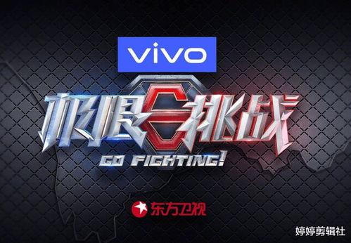 最新爆料的挑战话本,揭秘幕后真相，揭开神秘面纱